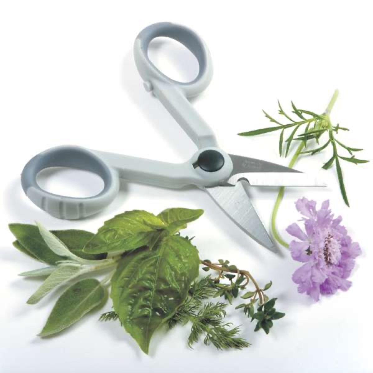 Norpro My Favorite Scissors, product photo