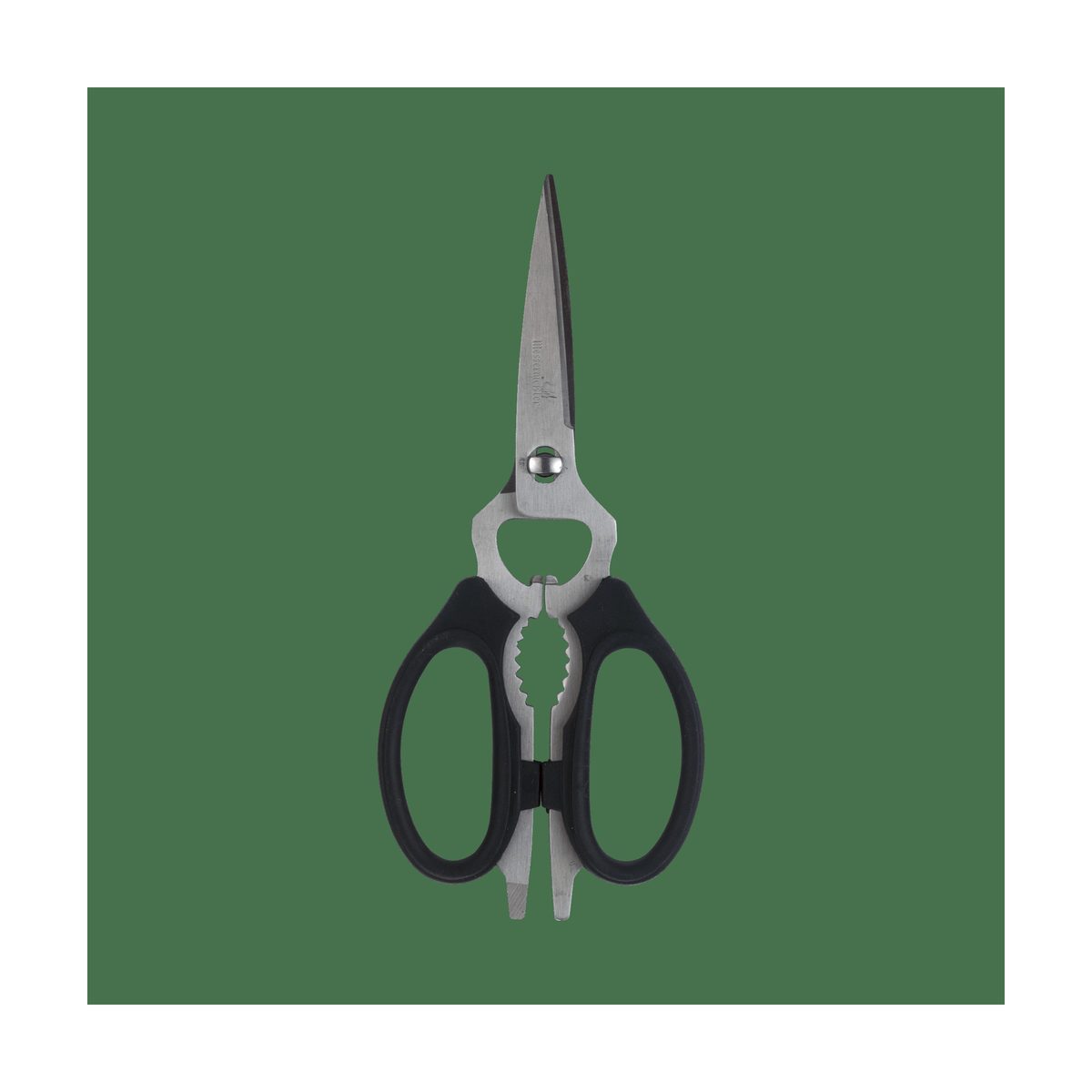 Take-Apart Kitchen Shears, product photo
